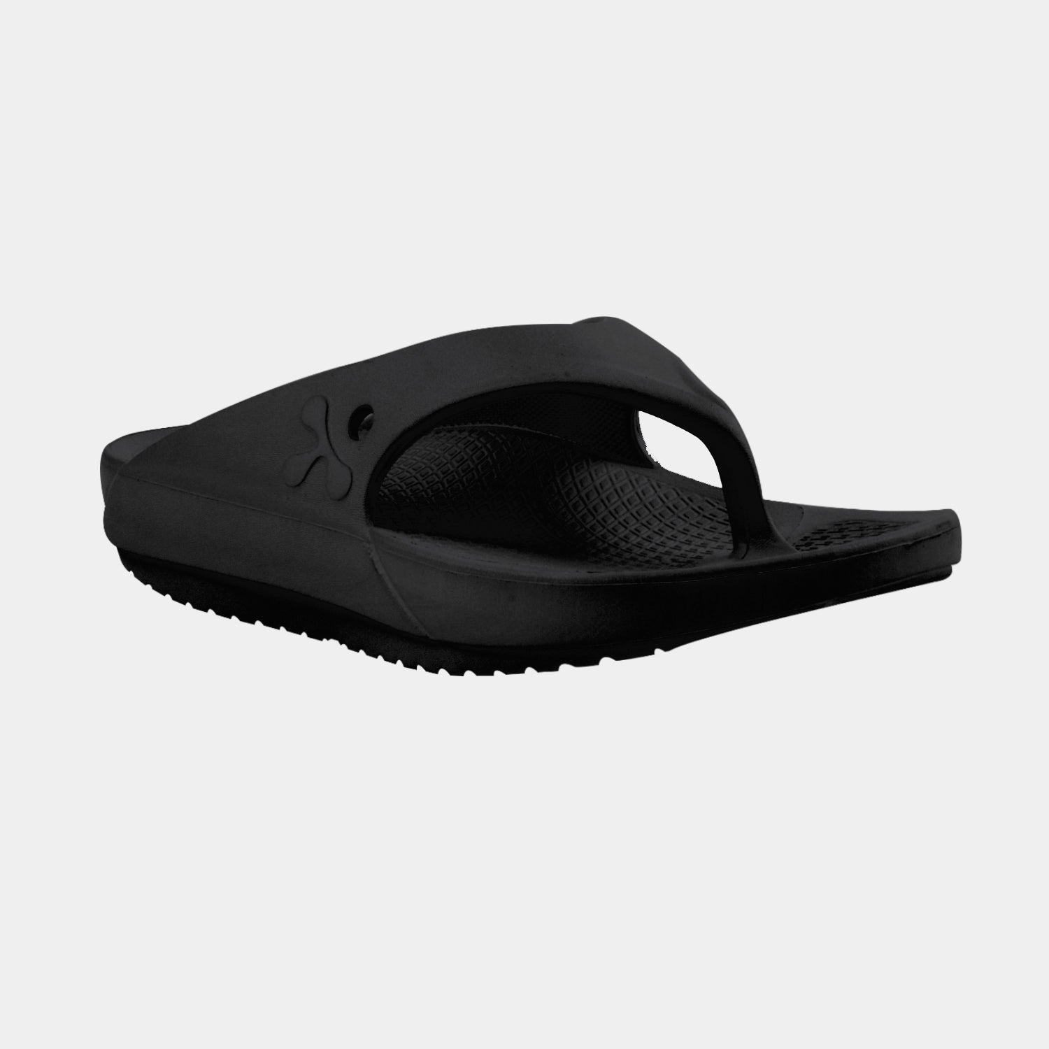 EXPLORER Absolute Pitch